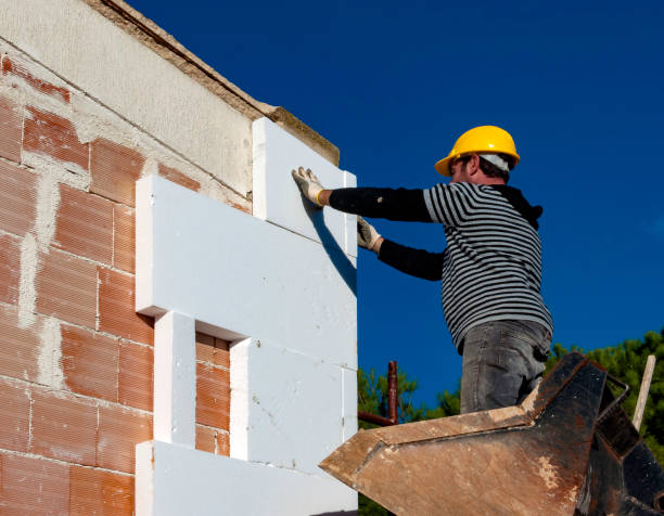 Professional Insulation Contractor in Blackstone, VA