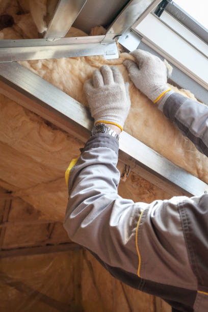 Types of Insulation We Offer in Blackstone, VA