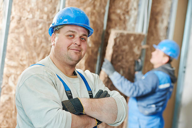 Best Fiberglass Insulation in Blackstone, VA