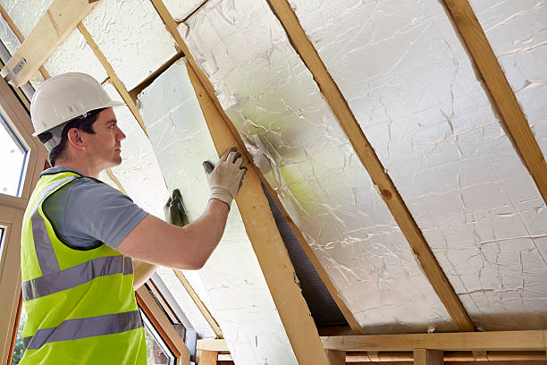 Best DIY Insulation Kits and Guidance in Blackstone, VA